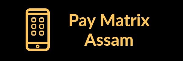 Pay Matrix Assam 