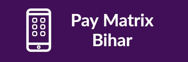 Pay Matrix Bihar