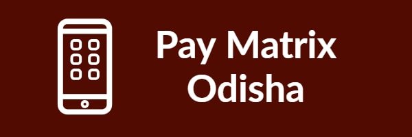 Pay Matrix Odisha