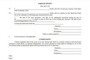 7th CPC CCS (Revised Pay) Rules 2016 – Option Form