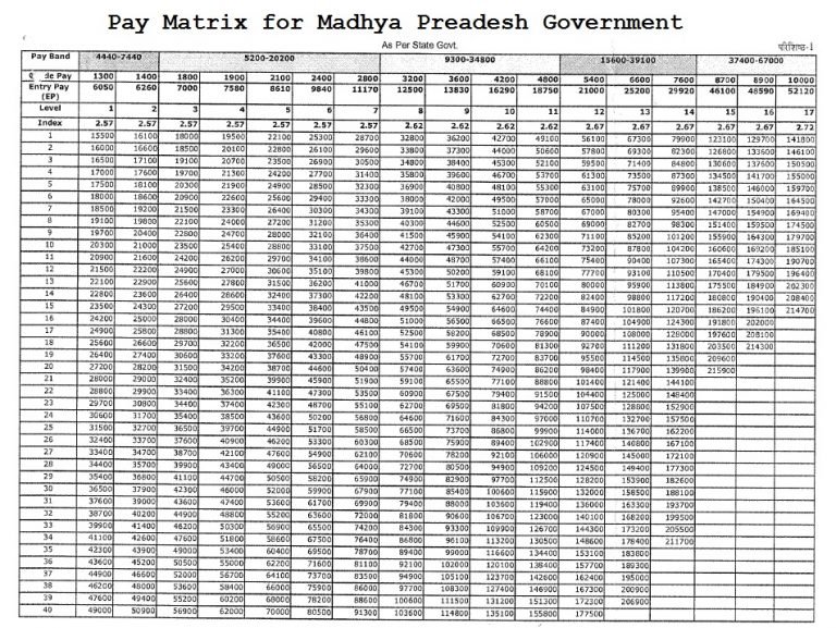 [PDF] Pay Matrix Madhya Pradesh | Pay Matrix Table PDF Download here